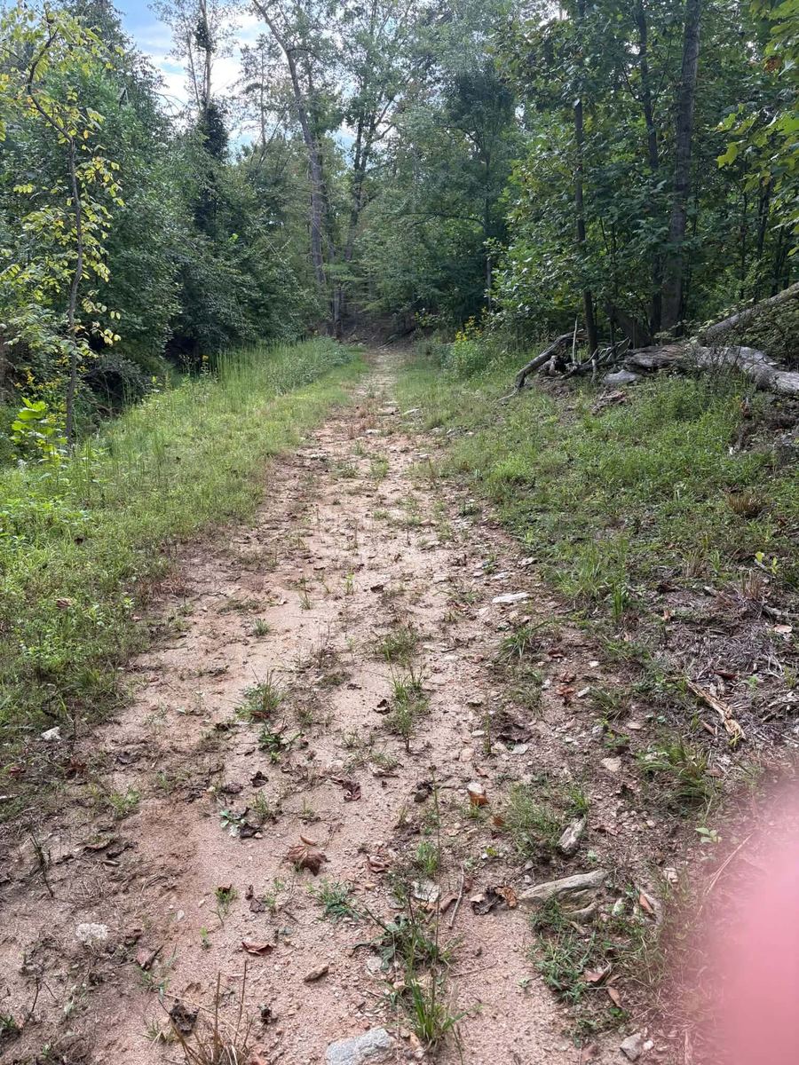 A narrow dirt path runs uphill through green woods.